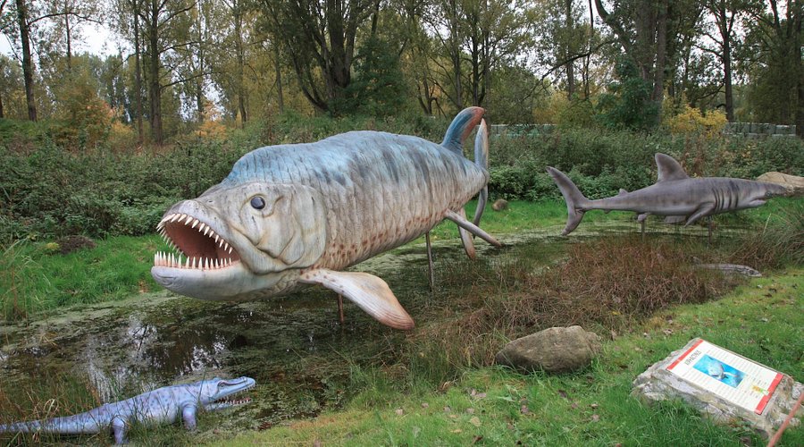 Dinosaurierland Rügen – Bild 2