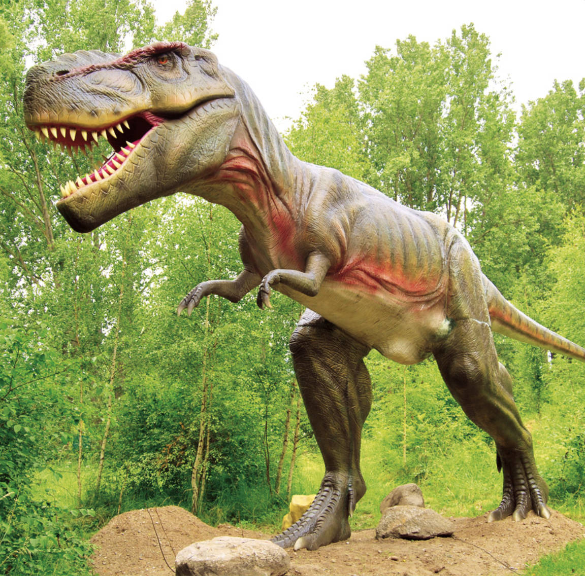 Dinosaurierland Rügen – Bild 4