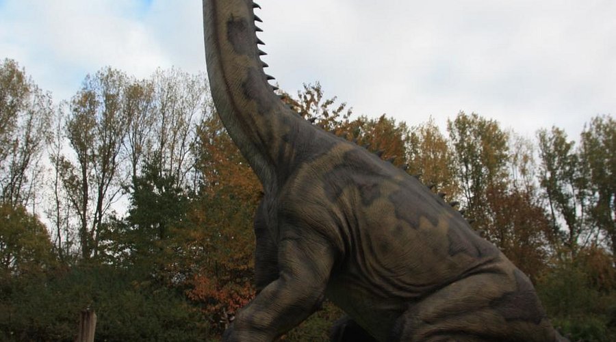 Dinosaurierland Rügen – Bild 6