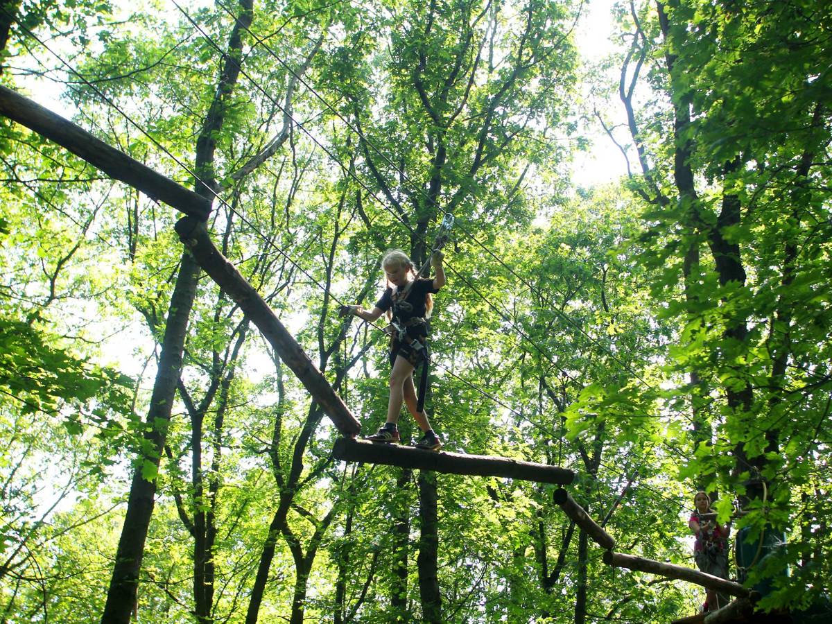 Kletterwald Bonn – Bild 3