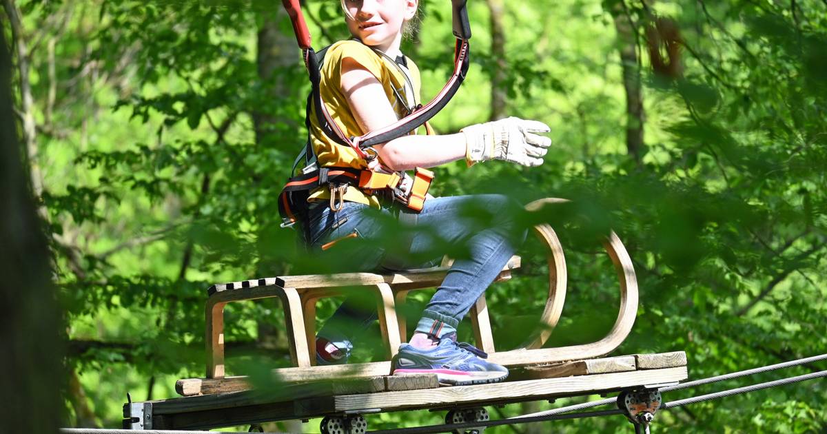 Kletterwald Bonn – Bild 4