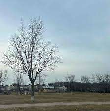 Sherwood Park – Bild 4