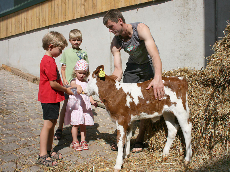 Benzenfurthof, Bauernhof Fam. Haußmann – Bild 3