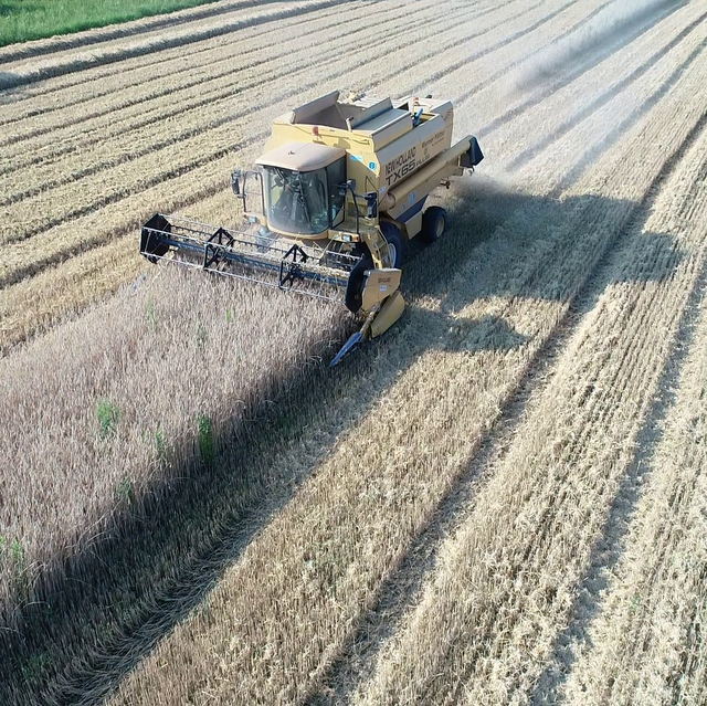 Hof Lippholthausen – Bild 3