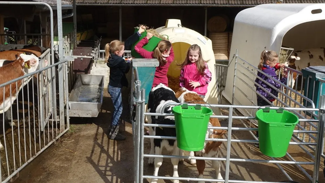 Hof Schmidt - Kindergeburtstag auf dem Bauernhof – Bild 3