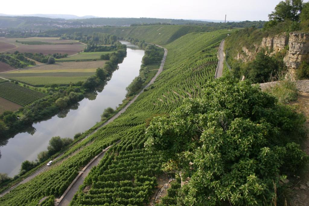 FelsengartenHof Ferienwohnung auf dem Winzer- und Bauernhof – Bild 2