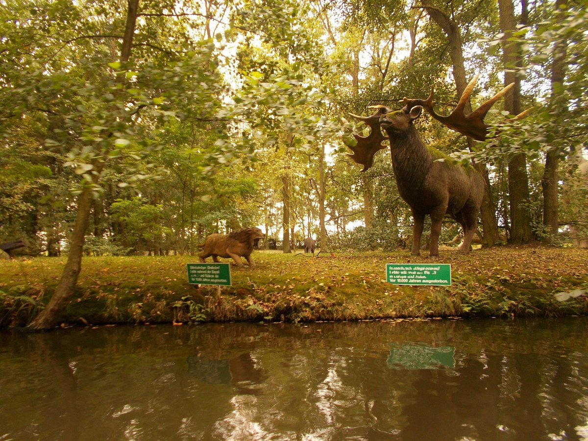 Erse Park Uetze – Bild 2
