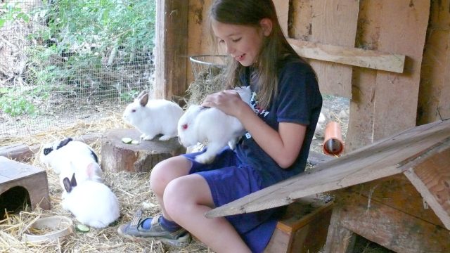 Familie Wildung – Bild 2