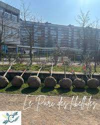 Parc des Libellules – Bild 2