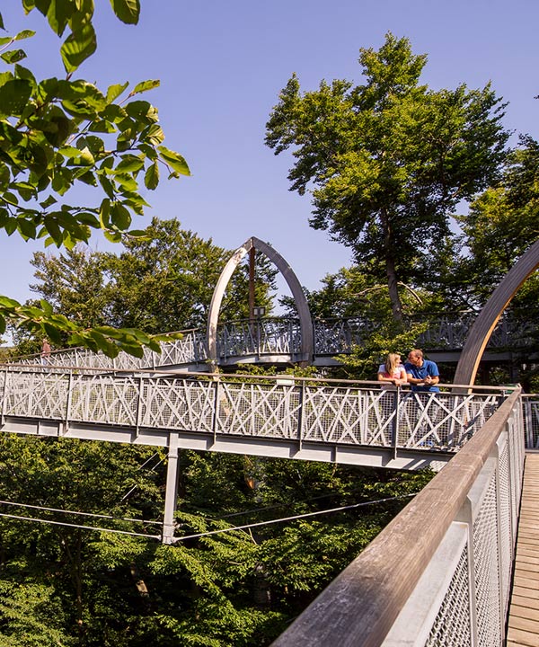 TreeTopWalk - der Baumkronenweg am Edersee – Bild 1