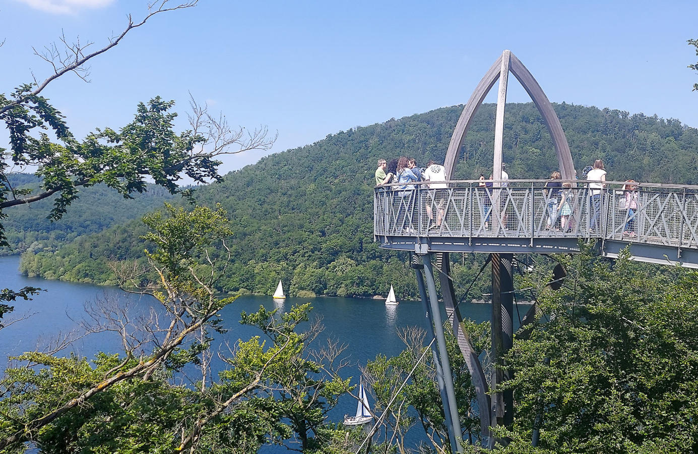 TreeTopWalk - der Baumkronenweg am Edersee – Bild 2