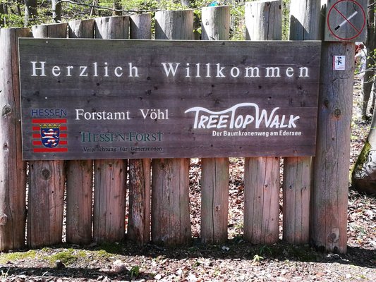 TreeTopWalk - der Baumkronenweg am Edersee – Bild 4