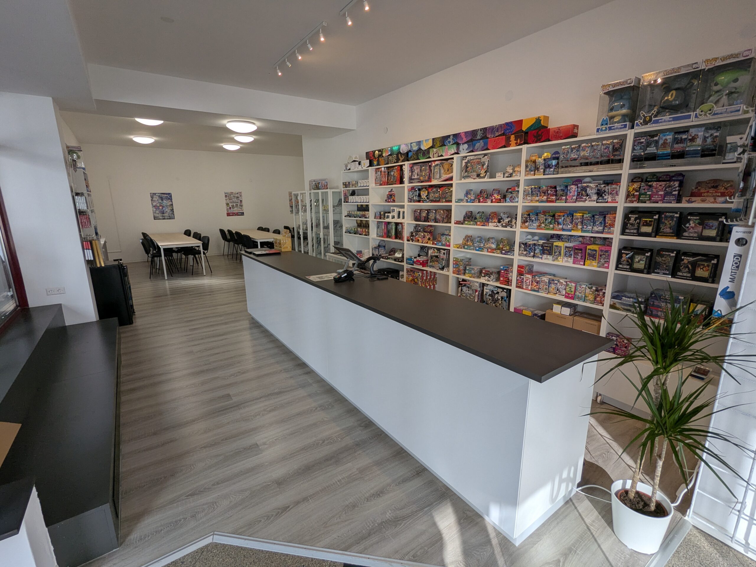 BulkParadise-TCG – Bild 3