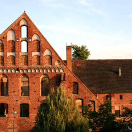 Spieloase Bad Doberan GmbH – Bild 1