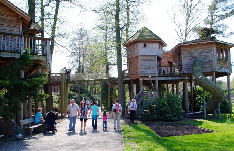 Baumhausdorf – Bild 2