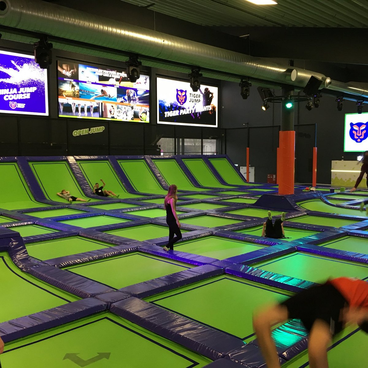 TIGER JUMP GmbH – Bild 4