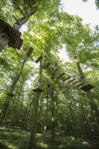 Kletterwald Vulkanpark – Bild 2