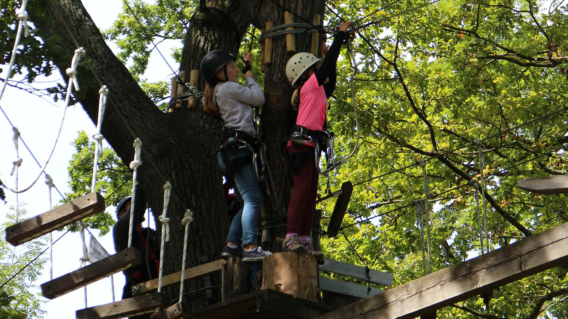 Kletterwald Vulkanpark – Bild 3