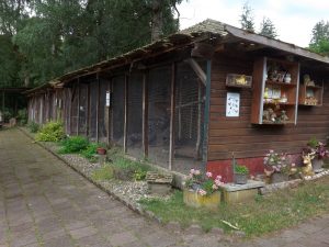 Tierpark Rose Melsungen-Röhrenfurth – Bild 6