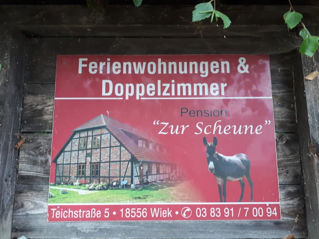 Pension Zur Scheune – Bild 4