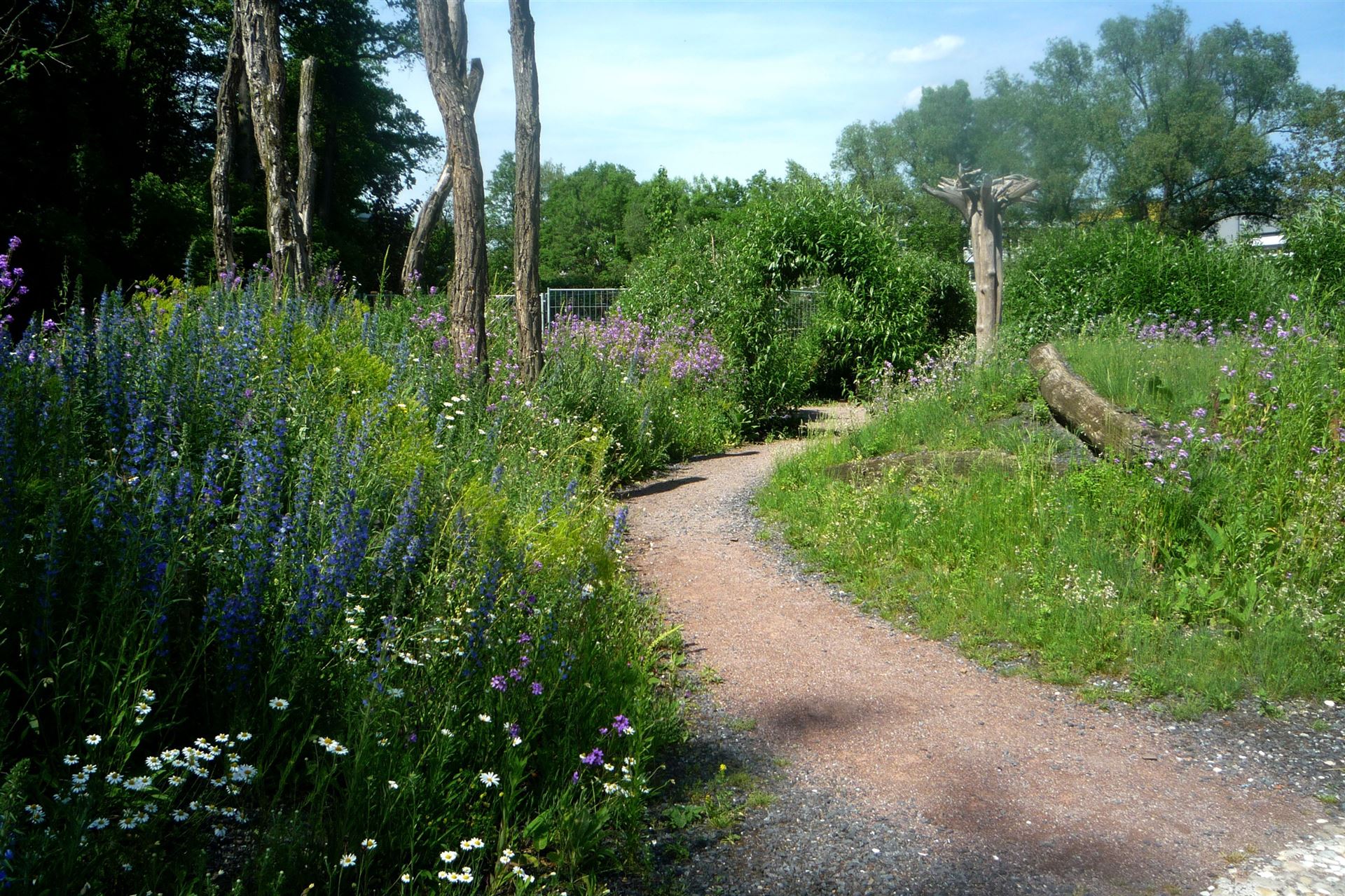 Natur-Erlebnis-Raum an der Ruhr – Bild 3