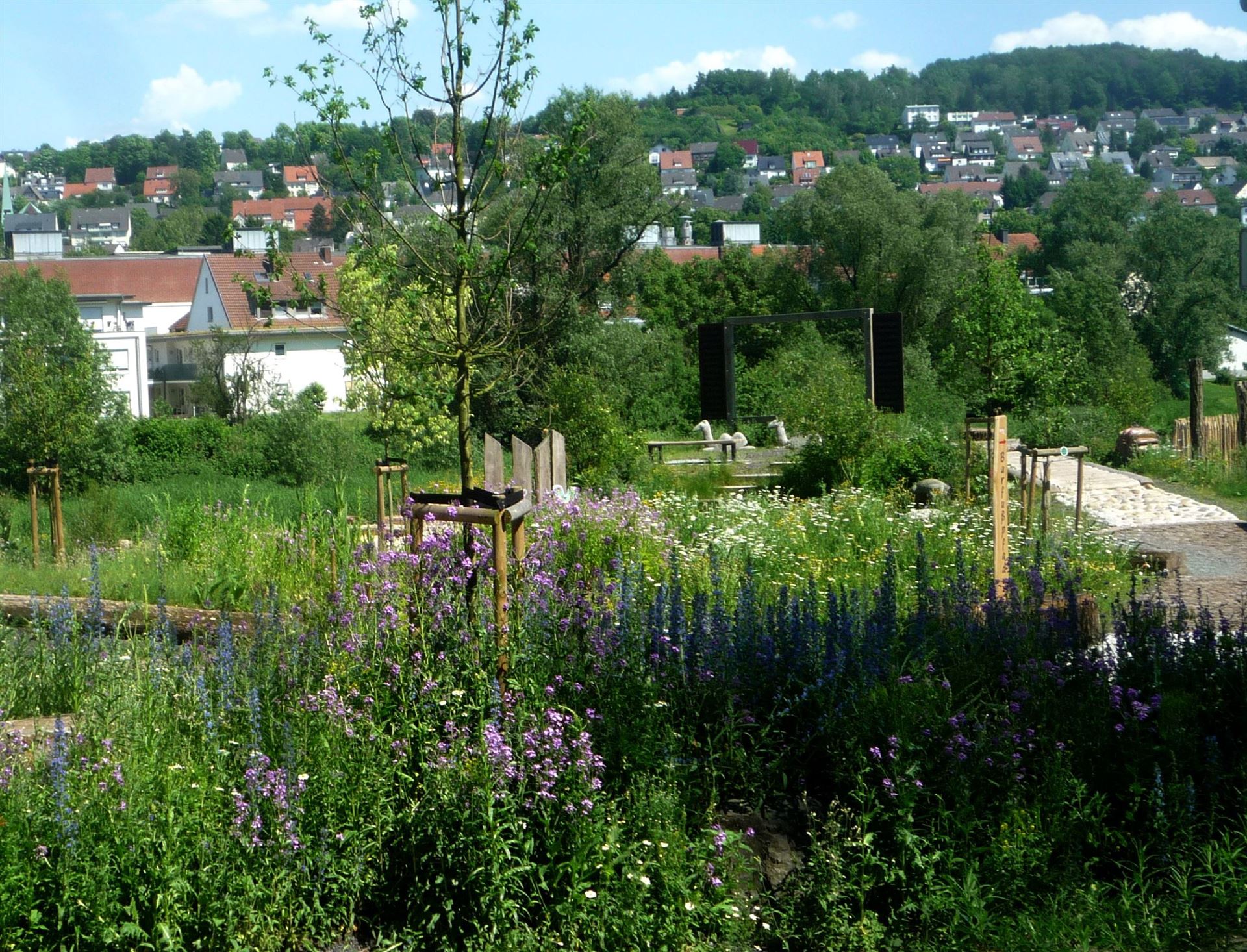 Natur-Erlebnis-Raum an der Ruhr – Bild 4