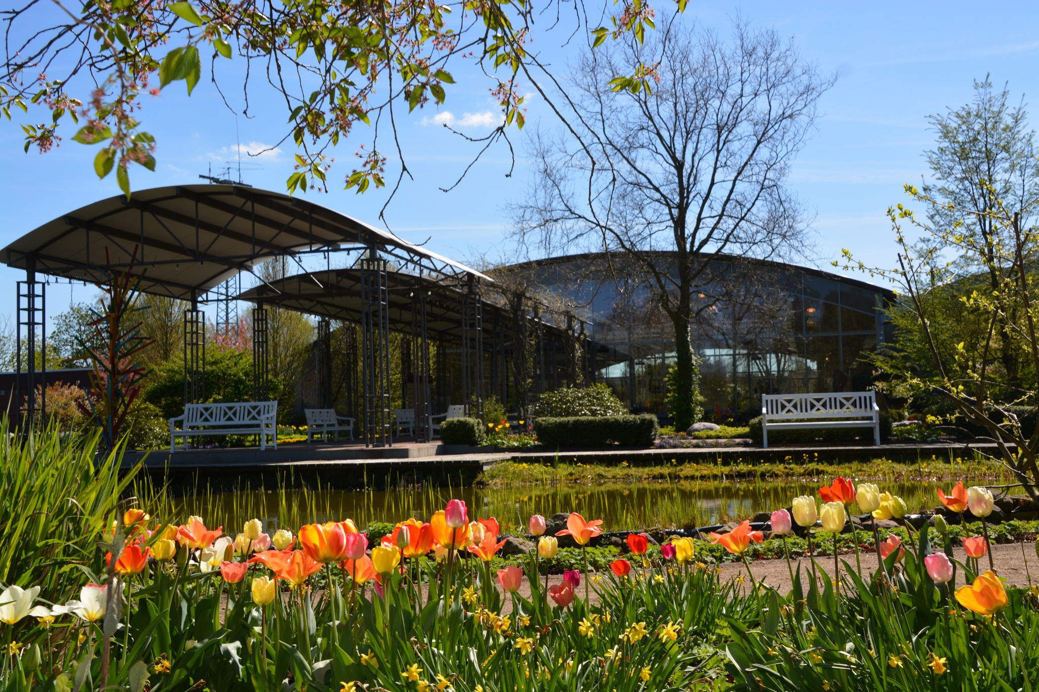 Blumenhalle & Gartenpark Wiesmoor – Bild 1