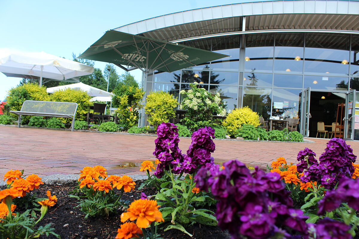 Blumenhalle & Gartenpark Wiesmoor – Bild 3