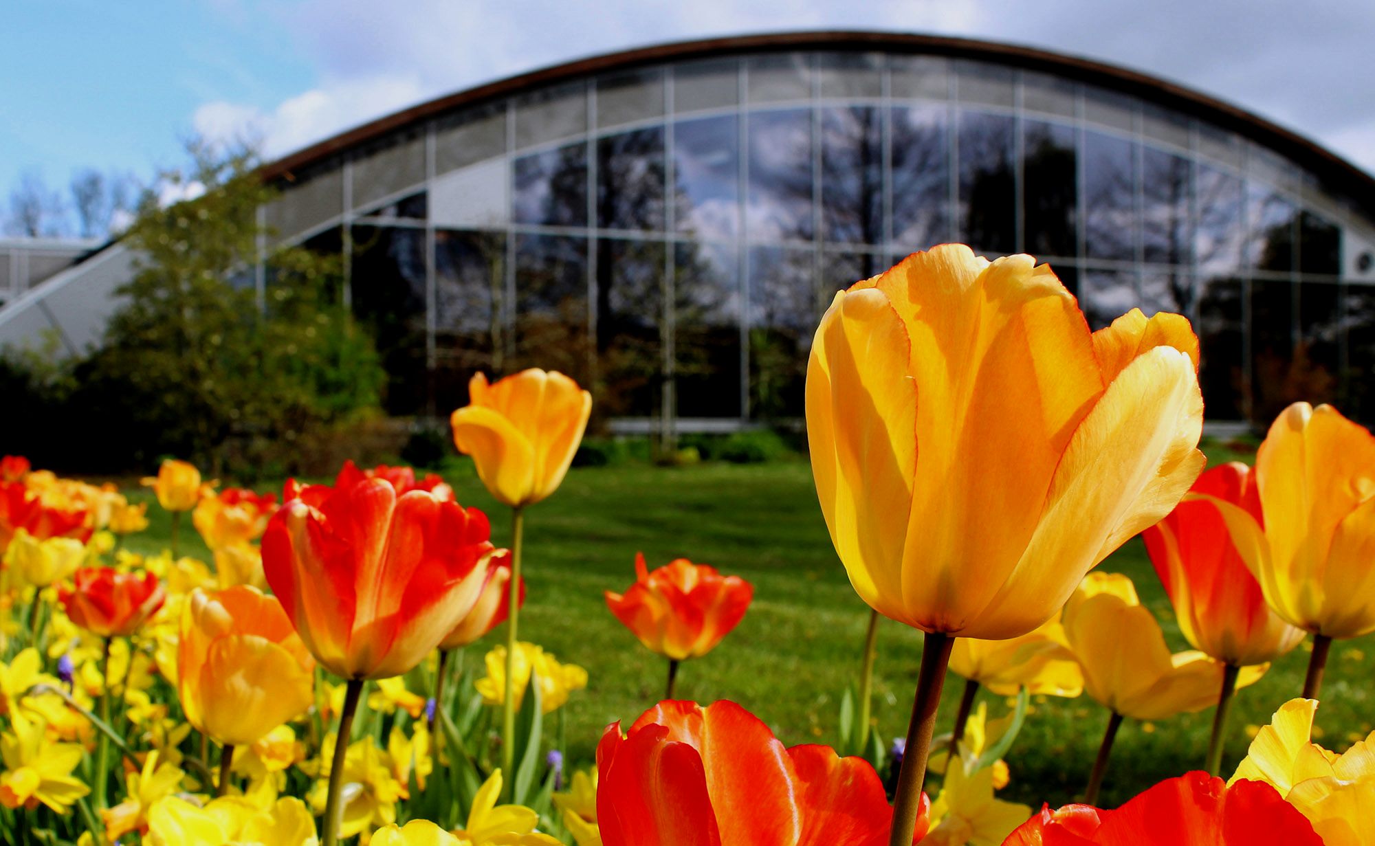 Blumenhalle & Gartenpark Wiesmoor – Bild 4