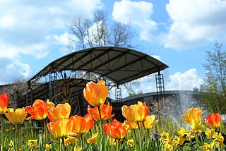 Blumenhalle & Gartenpark Wiesmoor – Bild 6