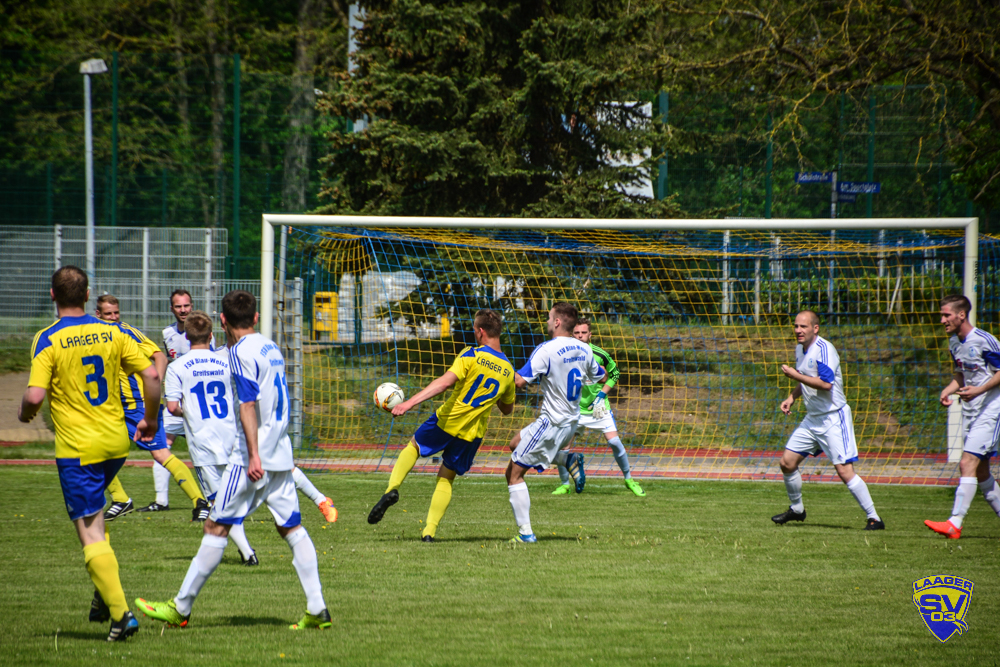 FSV Blau Weiß Greifswald e.V. – Bild 2