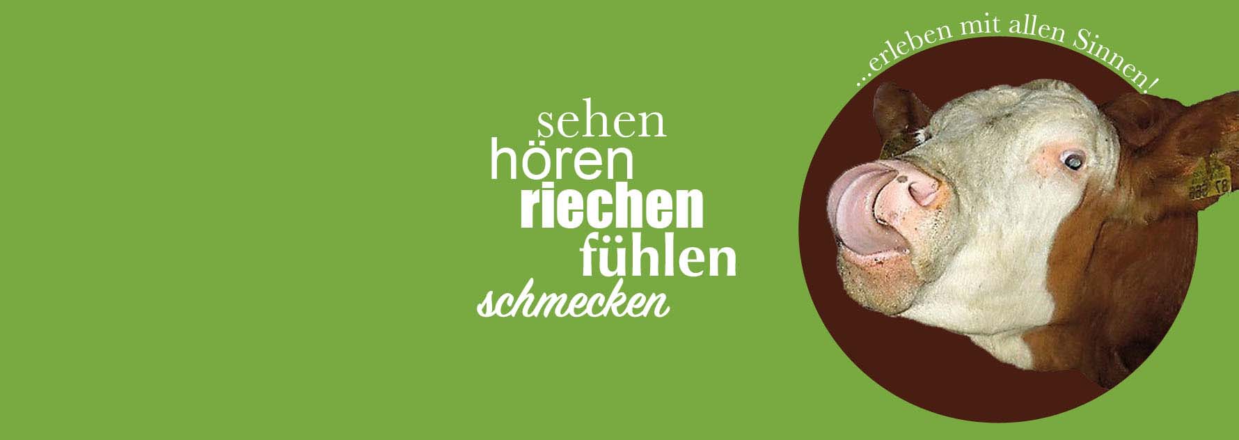 Erlebnisbauernhof Weismann – Bild 5