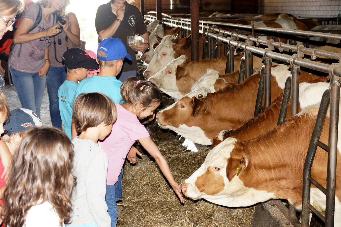 Erlebnisbauernhof Weismann – Bild 6