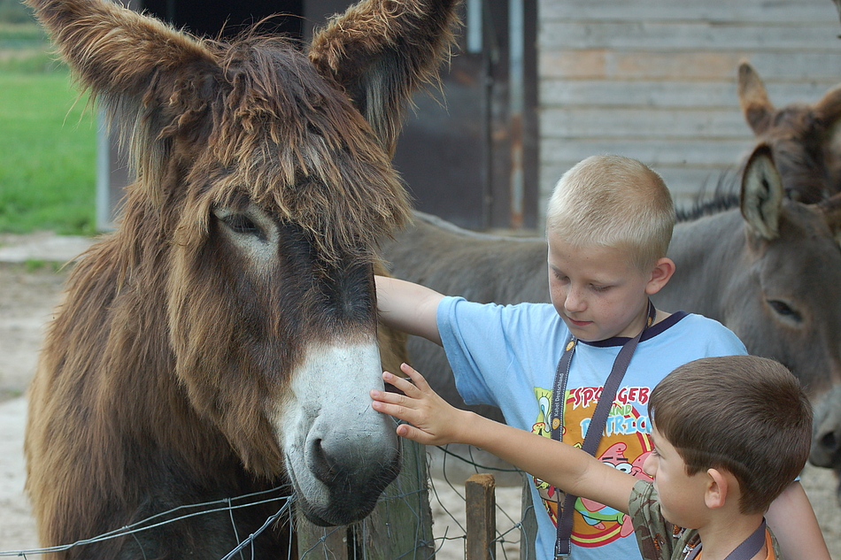 Tomtes Hof e. V. – Bild 2