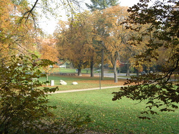 Stadtpark – Bild 5