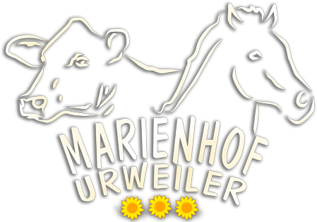 Marx Rudolf – Bild 3