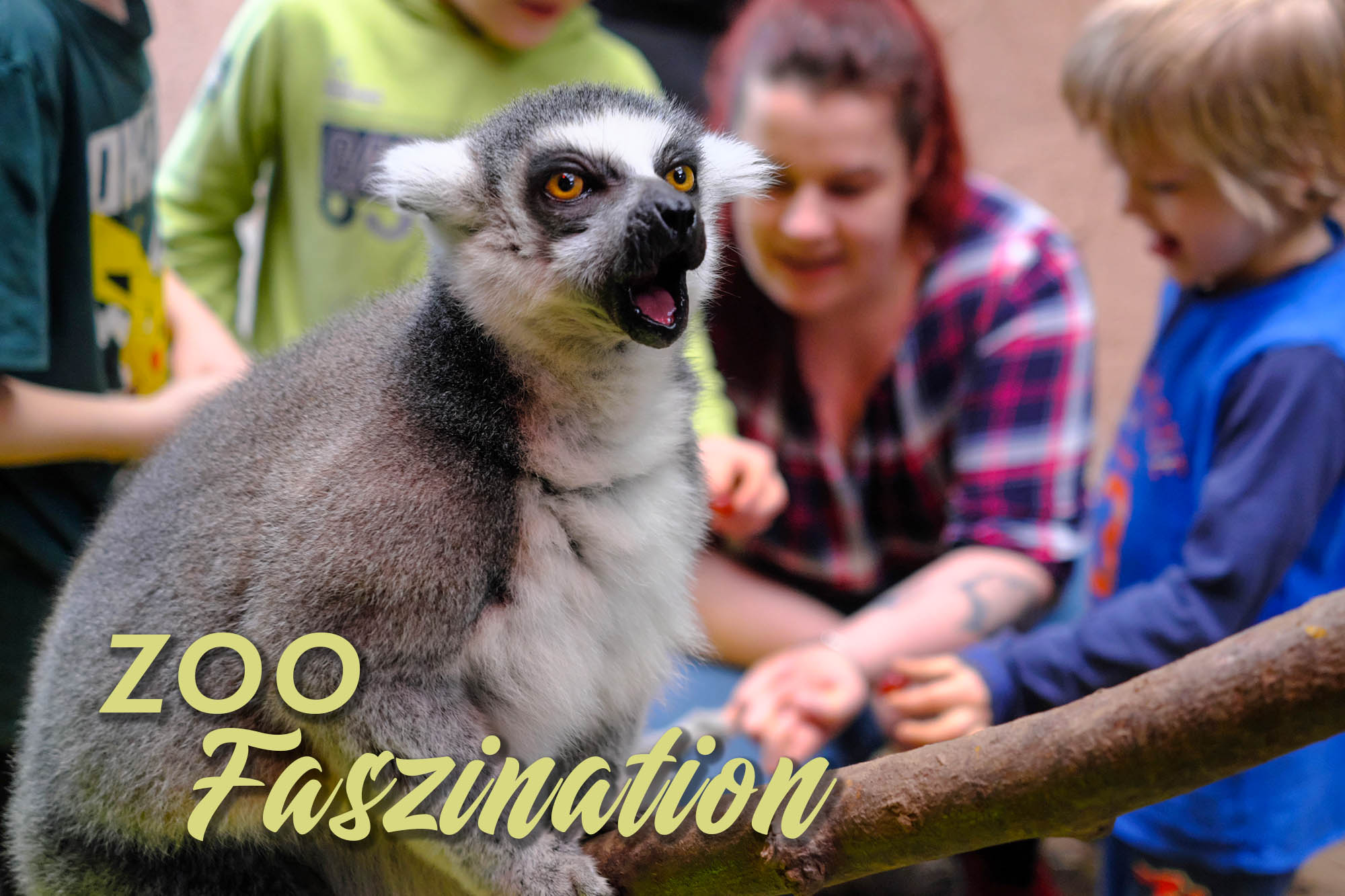 TerraZoo Rheinberg & Reptilienauffangstation – Bild 3