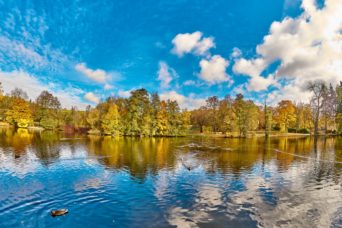 Stadtpark – Bild 3