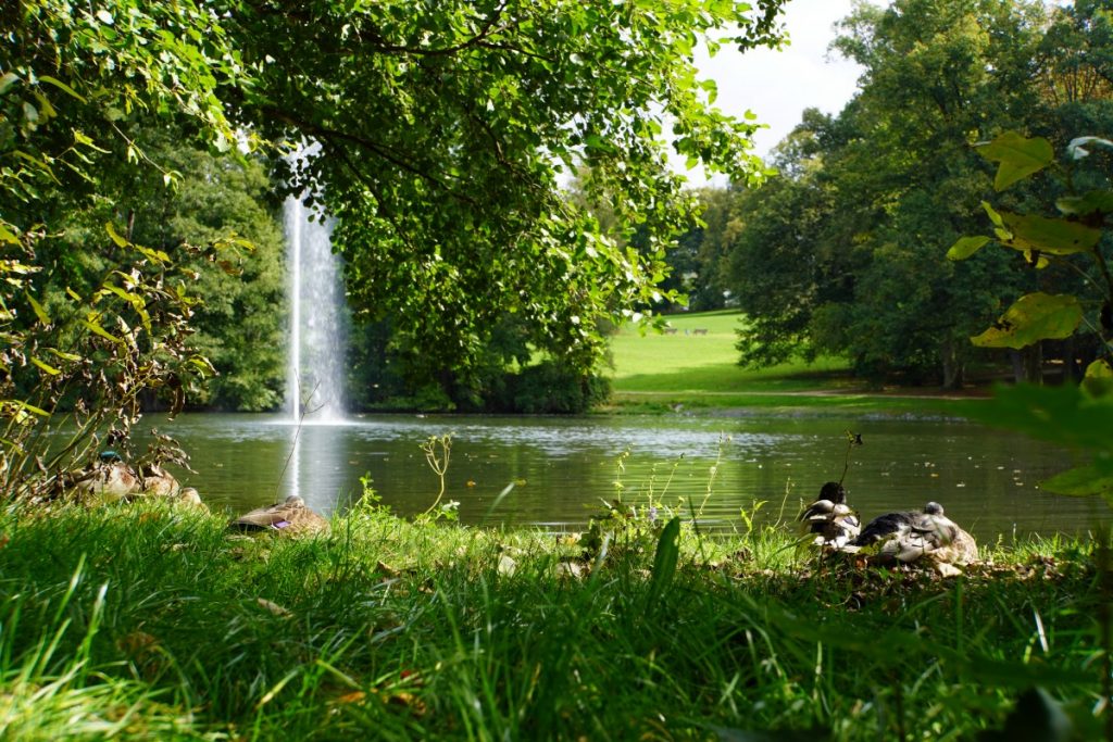 Stadtpark – Bild 4