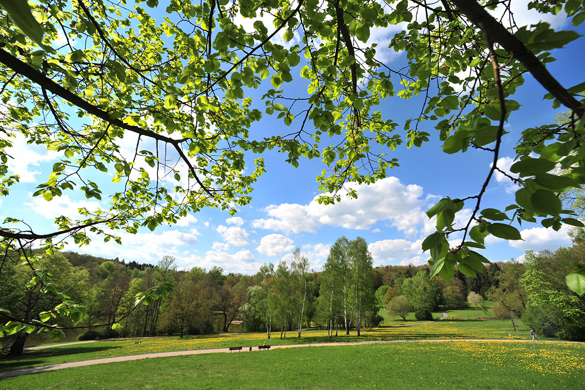 Stadtpark – Bild 6