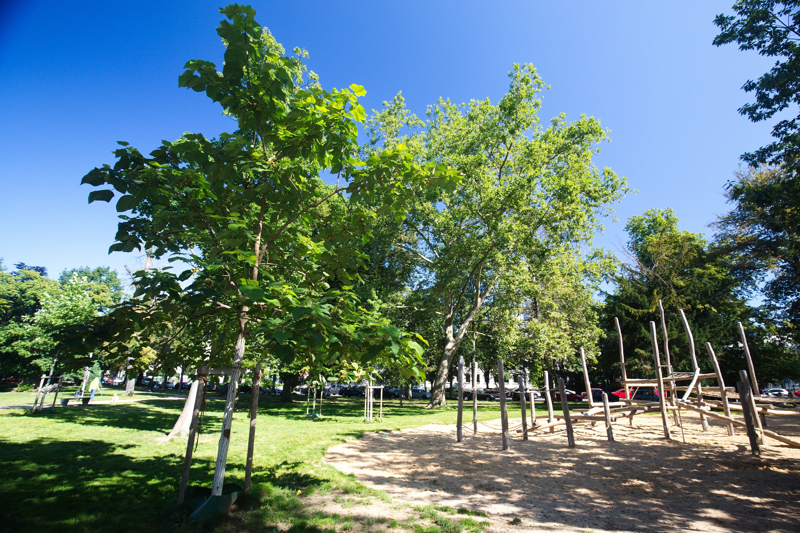 Baumschulwäldchen – Bild 4