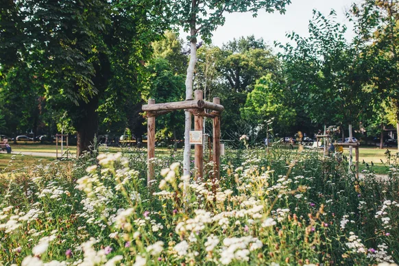 Baumschulwäldchen – Bild 5