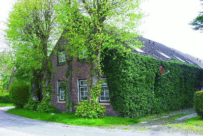 Ferien- u. Ponyhof Dirks – Bild 3