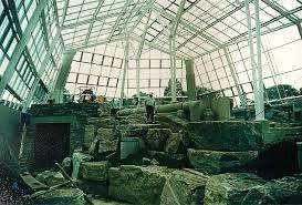 Butterfly Conservatory – Bild 4