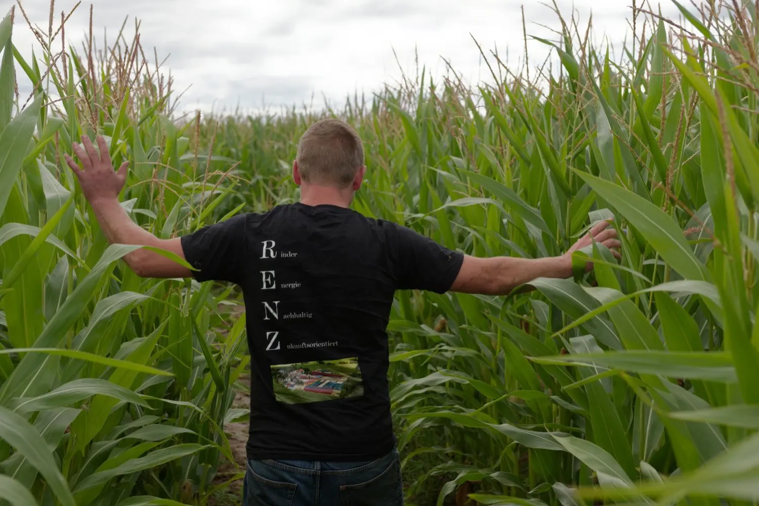 Mais Labyrinth Renz – Bild 3