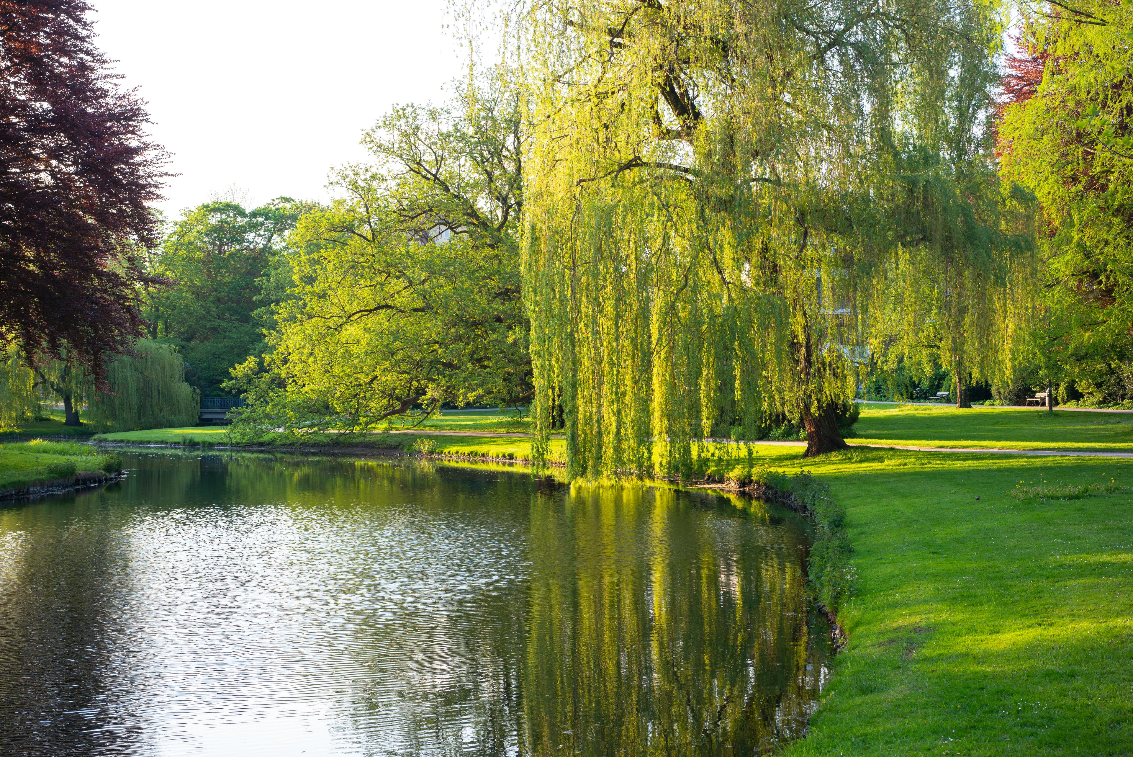 Schlosspark – Bild 5