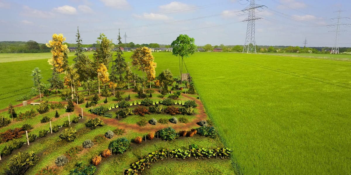 Waldgarten – Bild 2