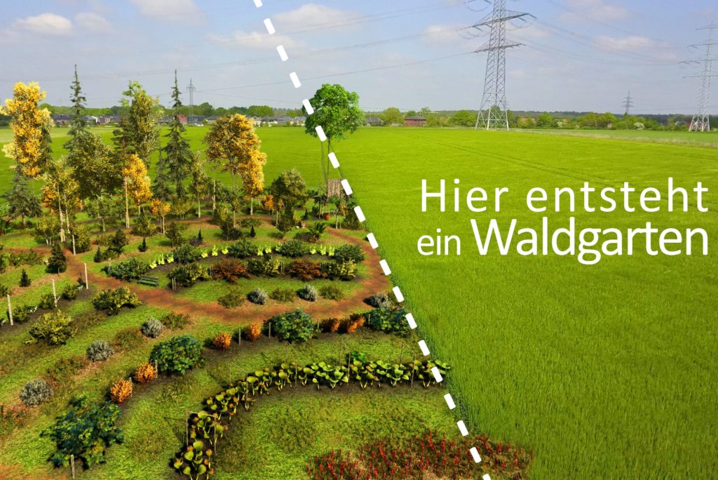 Waldgarten – Bild 4