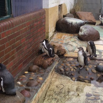 Zoo im Kurpark – Bild 6