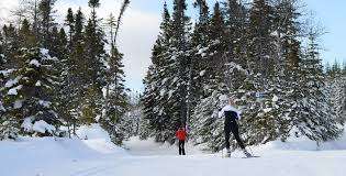 Blow Me Down Cross Country Ski Club – Bild 1